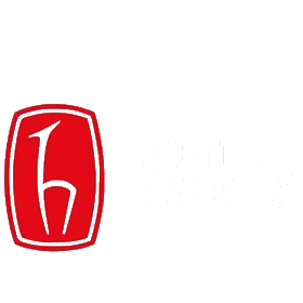 hacettepe logo